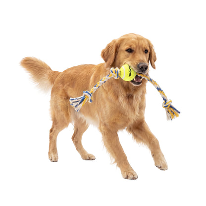 Flossy Chews Cottonblend 3 Knot Tug with Big 6" Tennis Ball Rope Dog Toy, Extra-Large, 36", Assorted Colors